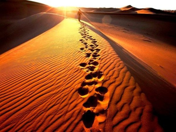 Thiên Chúa dẫn chúng ta đi qua sa mạc đến tự do